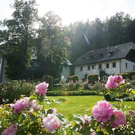 Penzl 9 Bed & Breakfast Longostagno Exterior photo